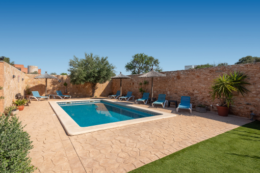 Garden and pool