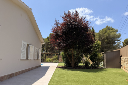 Well-maintained outdoor area