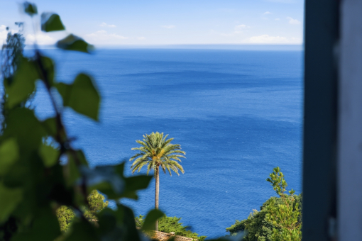 Sea Views