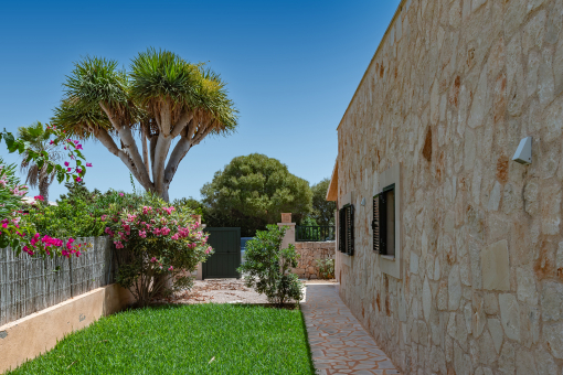 Jardín que rodea la vivienda, con la entrada y la plaza de aparcamiento al fondo