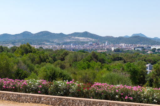 Vista desde la casa 