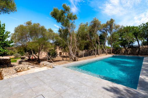 Piscina con terraza 