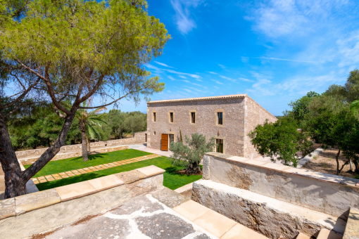 Finca 