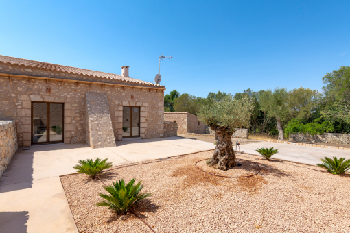 Terraza con acceso a la cocina y al salón
