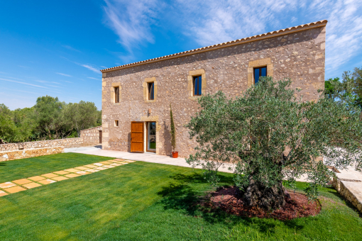 Finca 