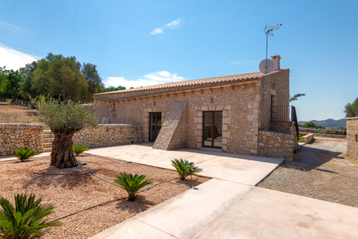 Terraza 