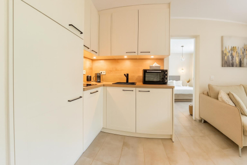 02_fully_furbished_ktichen_ground_floor_apartment_holiday_license_canyamel_Apartment_Canyamel