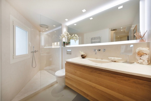 One of the 2 modern bathrooms