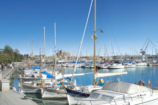 Harbour