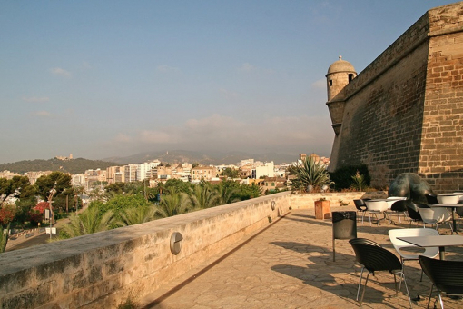 Palma