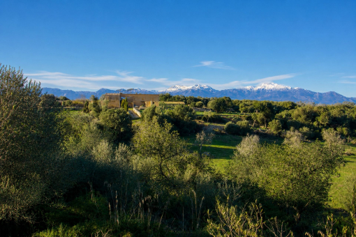Son Marrón in mallorquinischer Landschaft