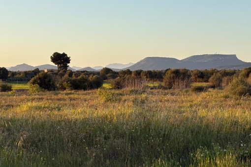 Vistas panorámicas desde la terraza hasta el Puig de Randa