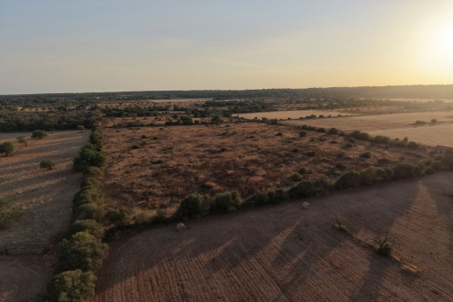 Vista aérea de la parcela y de los alrededores