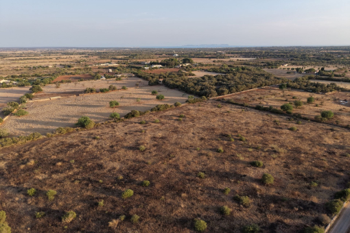 Vista aérea de la parcela y de su entorno