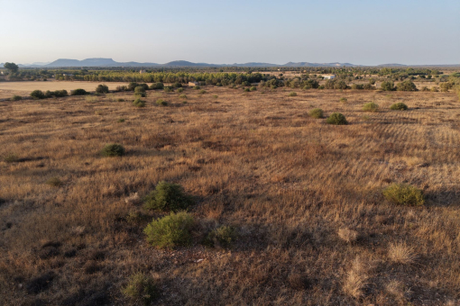 Vistas sobre la parcela