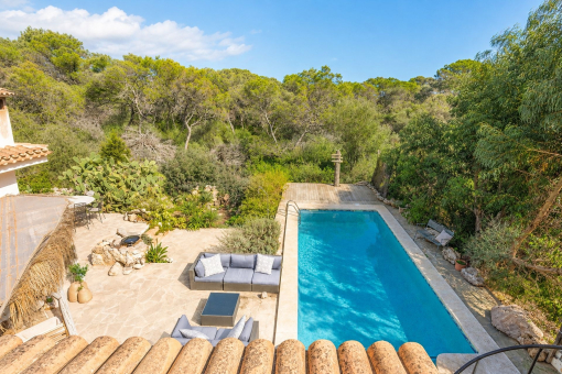 Vistas desde la terraza de la azotea sobre la piscina y la vegetación circundante