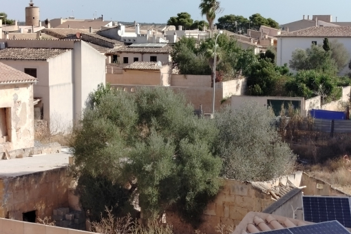 Vista panoramica