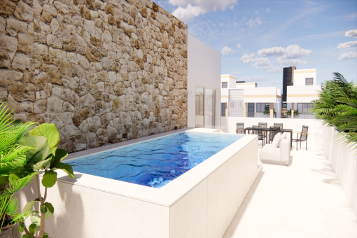 Rooftop terrace with private pool