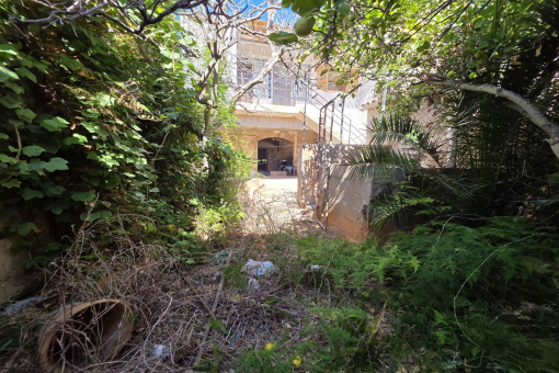 Jardín