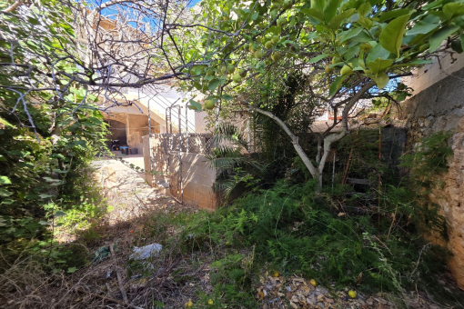 Jardín