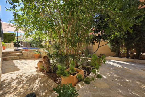 Jardin