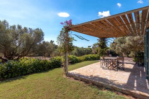 Terrace and garden 