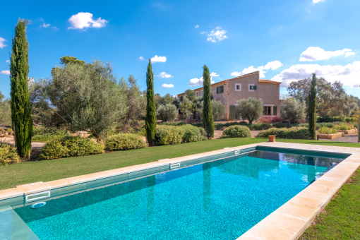 Stunning Swimming Pool