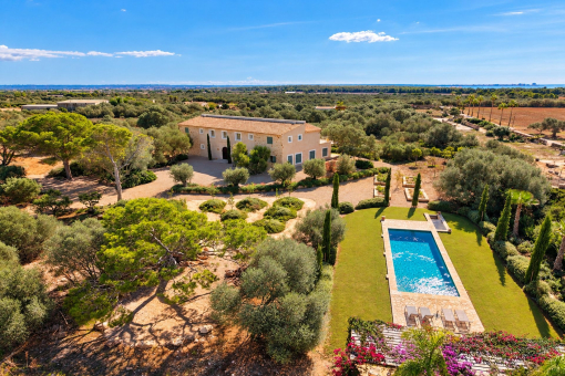 Exceptional plot near the beach