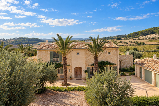 Mediterraner Innenhof mit Palmen