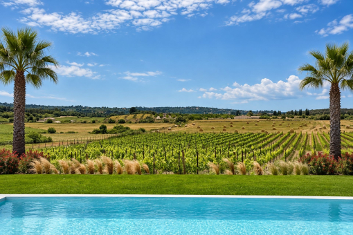 Pool mit Panoramablick auf den eigenen Weinberg
