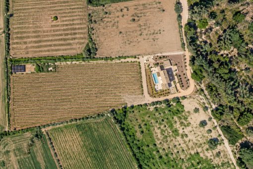 Luftaufnahme der Finca und ihres Weinbergs