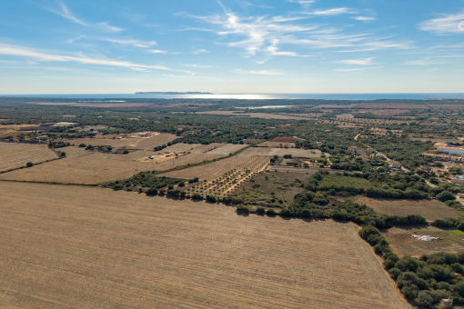 Views of the Surrounding Landscape