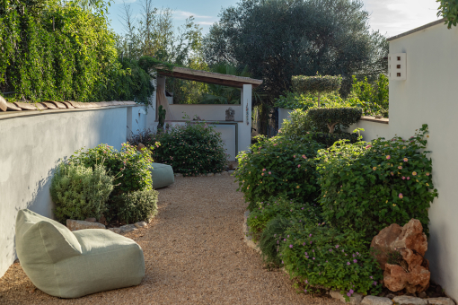Garden with Beautiful Green Views