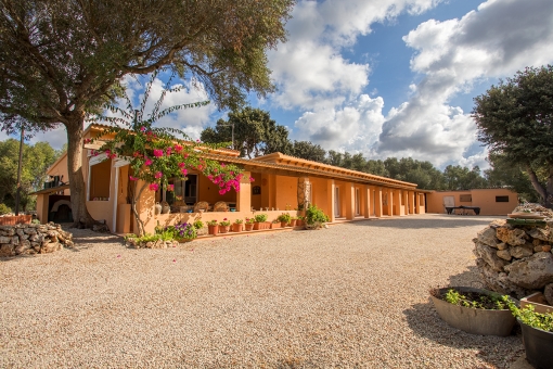 Nature, tranquillity and ample space-rustic finca near Sant Climent