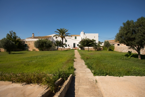 Exceptional finca requiring renovation on 50 hectares of farmland surrounded by nature, only 5 minutes from the sea, and close to Ciutadella