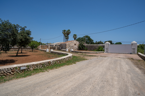 Driveway