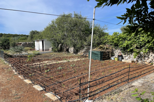 Jardín