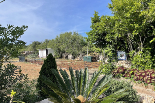 Jardín