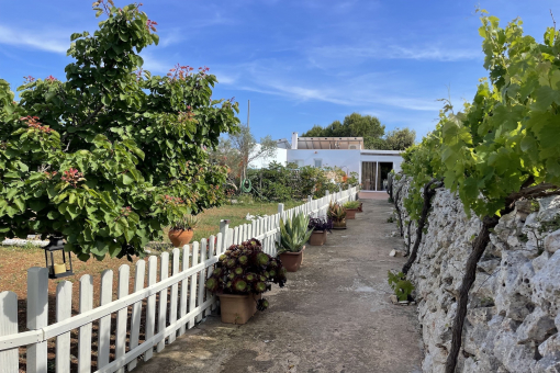Jardín
