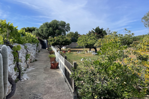 Jardín