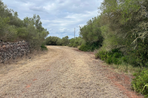 d71e813a-a36f-4f1e-9ece-054596e2ff64