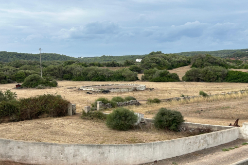 f981ae8b-7e8b-4022-91a0-7ce7425ddf8e