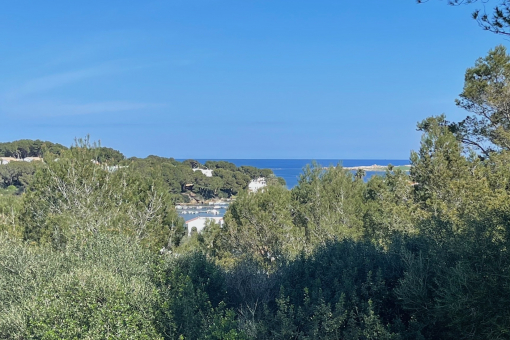 Sea view