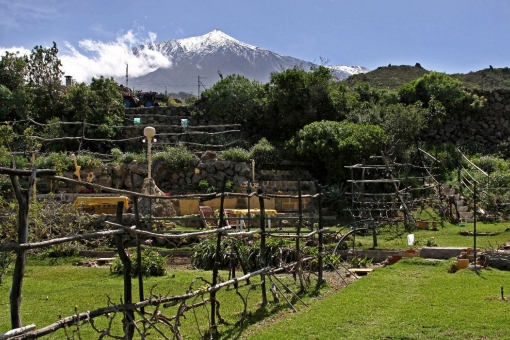 Level acreage, beautiful spots in the garden and the Teide