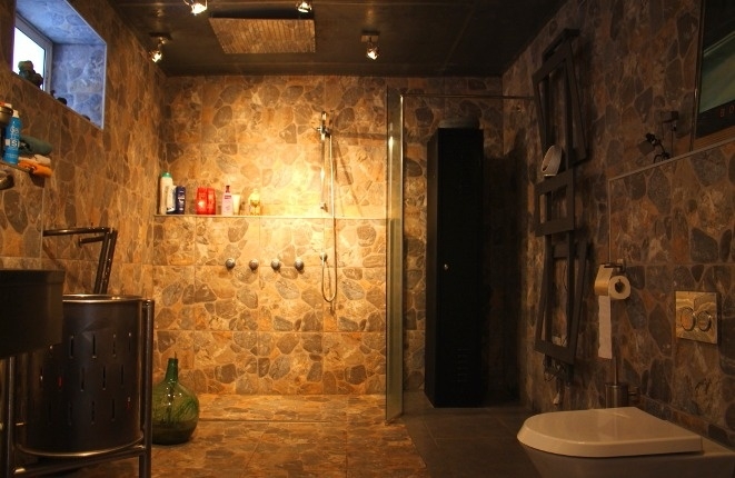 The fantastic bathroom with rainforest shower