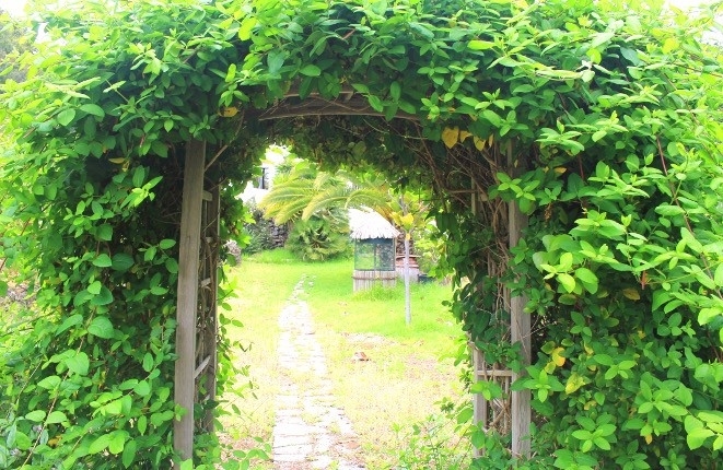 The archway in the garden