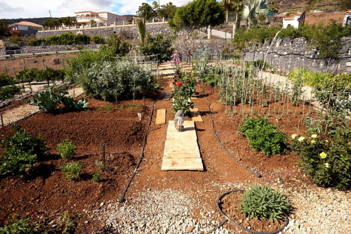 Vegetable garden