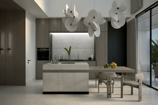 Modern kitchen