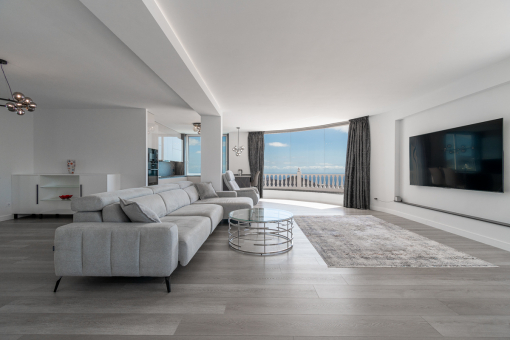 Dining area and living area