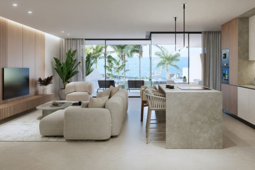 Living area and kitchen